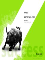 ( mẫu powerpoint ) business bull powerpoint templates standard 