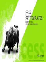 ( mẫu powerpoint ) business bull powerpoint templates widescreen 