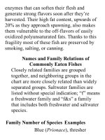 On food and cooking  the science and lore of the kitchen ( PDFDrive ) 383 