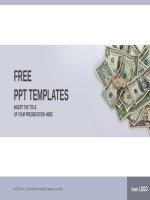 ( mẫu powerpoint ) USA cash finance powerpoint templates widescreen 