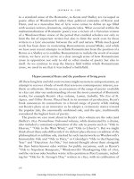 The cambridge companion to british roman 48 