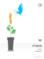 ( mẫu powerpoint ) green plant with dollar coins on the branches powerpoint templates widescreen 