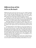 Remarkable creatures by tracy chevalier 6 