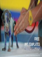 ( mẫu powerpoint ) veterinarian checking up sick dog with stethoscope in vet clinic powerpoint templates widescreen 