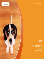 ( mẫu powerpoint ) little dog nature powerpoint templates standard 
