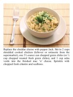 The food lab  better home cooking through science ( PDFDrive ) 897 