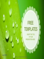 ( mẫu powerpoint ) droplets nature PPT templates widescreen 