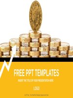 ( mẫu powerpoint ) gold coins finance powerpoint templates widescreen 