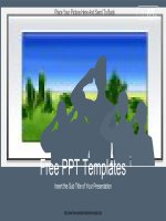 ( mẫu powerpoint ) patriotic soldier saluting powerpoint templates 