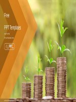 ( mẫu powerpoint ) money growing plan powerpoint templates 