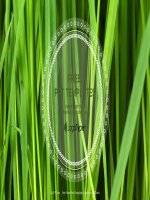 ( mẫu powerpoint ) fresh green grass powerpoint templates widescreen 
