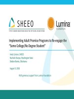 ImplementingAdultPromise_Blanke_080918
