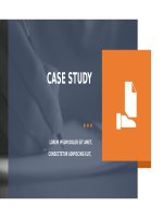 (Mẫu powerpoint) case study template corporate 