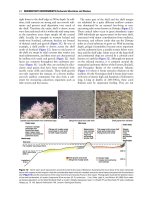 Encyclopedia of geology, five volume set, volume 1 5 (encyclopedia of geology series) ( PDFDrive ) 2355 