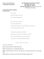 đề thi khảo sát học sinh giỏi môn văn lớp 12