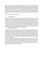 Đặc điểm khoản mục nợ phải trả 0077