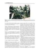 Encyclopedia of geology, five volume set, volume 1 5 (encyclopedia of geology series) ( PDFDrive ) 2865 