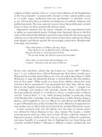 The cambridge companion to british roman 46 