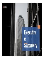 (Mẫu powerpoint) executive summary corporate 