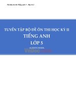 16 de on thi hoc ky 2 mon tieng anh lop 5 