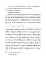 Hoạt động trong lĩnh vực kinh doanh  0030