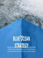 (Mẫu powerpoint) blue ocean strategy 