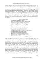 The cambridge companion to british roman 255 