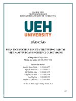 BÁO cáo PHÂN TÍCH sức hấp dẫn của THỊ TRƯỜNG hb tại VIỆT NAM với DOANH NGHIỆP CJ OLIVE YOUNG 