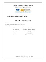 BÀI TIỂU LUẬN KẾT THÚC MÔN TƯ DUY SÁNG TẠO  đề tài Thiết kế cái vali tiện ich và sáng tạo