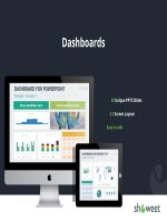 (Mẫu PowerPoint) Dashboards-w-Examples-Showeet(standard)