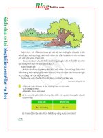 SGK CD tiếng việt 3 tập 1 sách giáo khoa tiếng việt lớp 3 tập 1 cánh diều tờ số  (119) 