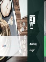 (Mẫu powerpoint) marketing budget ppt corporate 