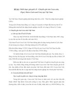 Chiến lược giá quốc tế - Chuyển giá của Coca-cola, Pepsi, Metro Cash and Carry tại Việt Nam