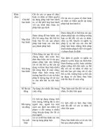 Đề cương PLĐC - Phần bài tập_0006