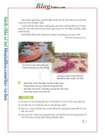 SGK CD tiếng việt 3 tập 1 sách giáo khoa tiếng việt lớp 3 tập 1 cánh diều tờ số  (10) 