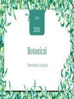 (Mẫu PowerPoint) Botanical Presentation Template