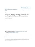 Saving the Libby Hill Viewshed- Preserving and Enhancing One of