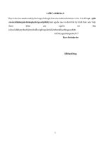 Nghiên cứu giải pháp đẩy nhanh tiến độ xây dựng nông thôn mới trên địa bàn huyện Hữu Lũng, tỉnh Lạng Sơn