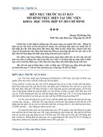 Biên Mục Trước Xuất Bản Mô Hình Thực Hiện Tại Thư Viện Khoa Học Tổng Hợp Thành Phố Hồ Chí Minh