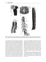 Encyclopedia of biodiversity  encyclopedia of biodiversity, (7 volume set) ( PDFDrive ) 5045 
