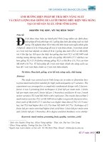 Ảnh hưởng biện pháp để trái đến năng suất và chất lượng hai giống dưa lưới trong điều kiện nhà màng tại cơ sở sản xuất, tỉnh Vĩnh Long