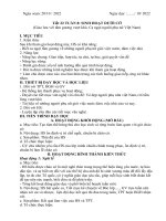 GIÁO ÁN HĐTN LỚP 7 KNTT