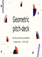 (Mẫu powerpoint) geometric business project proposal 