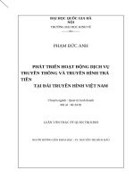 Phát triển hoạt động dịch vụ truyền thông và truyền hình trả tiền tại đài truyền hình việt nam  luận văn ths  kinh doanh và quản lý 60 34 05 