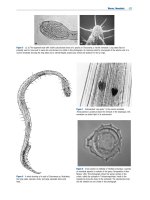 Encyclopedia of biodiversity  encyclopedia of biodiversity, (7 volume set) ( PDFDrive ) 5058 