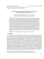 Sử dụng trị liệu hoạt động trong can thiệp sớm cho trẻ rối loạn phổ tự kỉ có vấn đề về cảm giác 