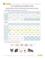 giai-vo-bai-tap-tieng-viet-1-canh-dieu-bai-15-on-tap