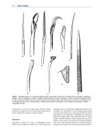 Encyclopedia of biodiversity  encyclopedia of biodiversity, (7 volume set) ( PDFDrive ) 5049 