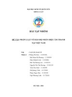 PHÁP LUẬT VỀ BẢO HỘ NHÃN HIỆU ÂM THANH TẠI VIỆT NAM