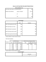 CƠ sở lí LUẬN về ĐÁNH GIÁ ẢNH HƯỞNG 0124